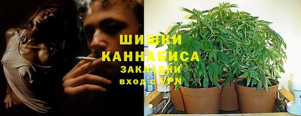 спиды Аркадак